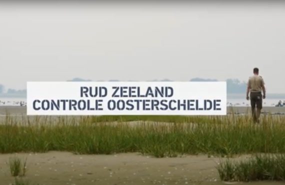 Open video Controle Oosterschelde