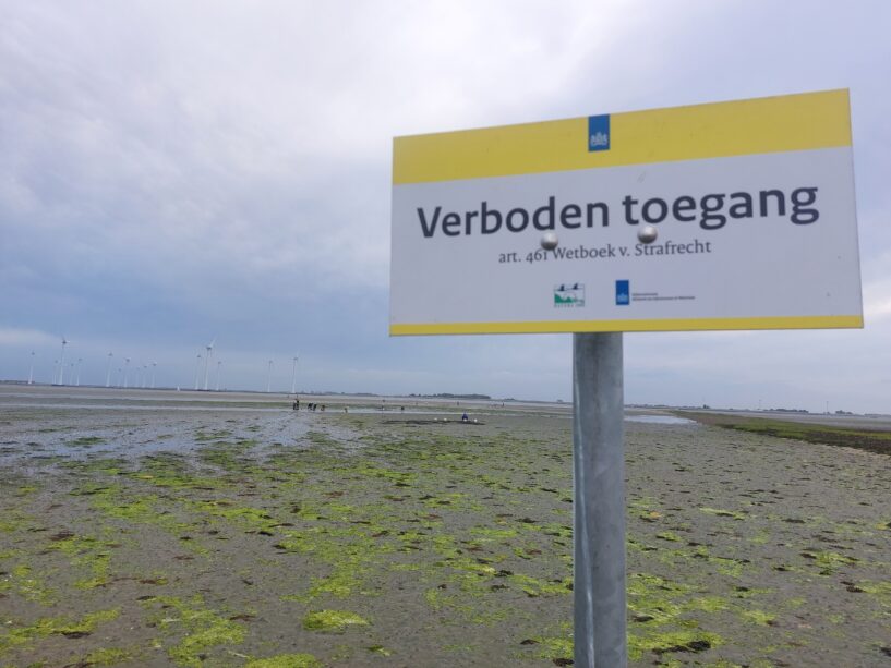 Actiedag in twee natuurgebieden, dit zijn de resultaten