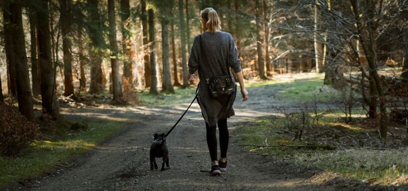 Help de natuur een handje: houd je hond aan de lijn