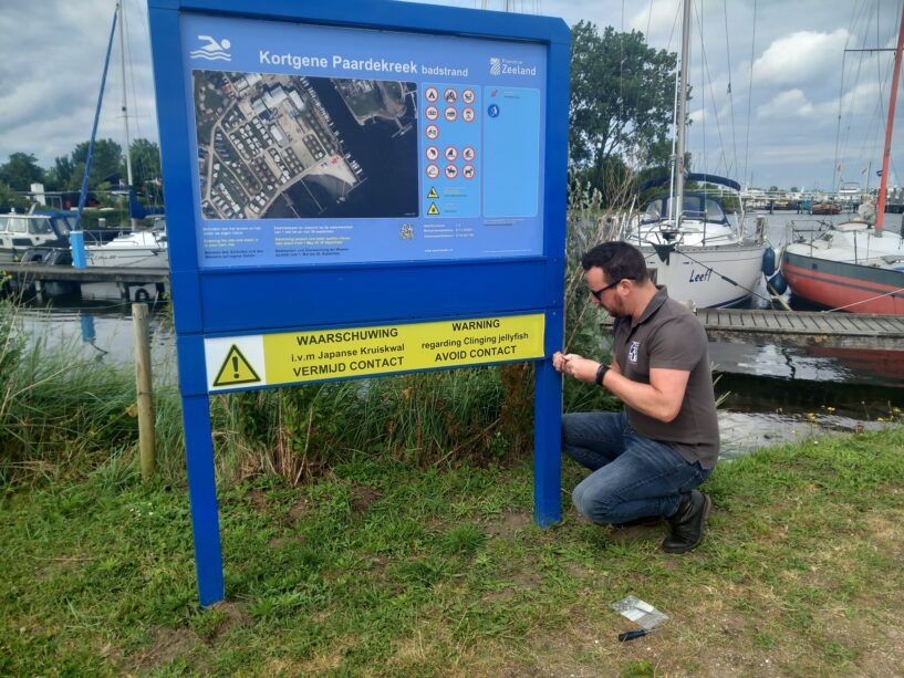 Veilig zwemmen in Zeeland: het zwemseizoen is begonnen