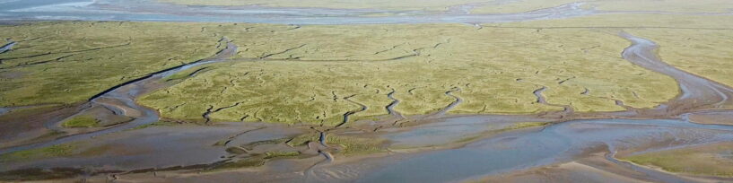 Olievervuiling langs Westerschelde gezien? Meld dit bij je gemeente